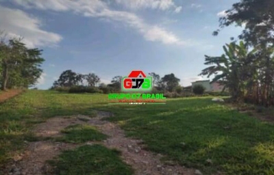 Terreno, 10 hectares - Foto 1