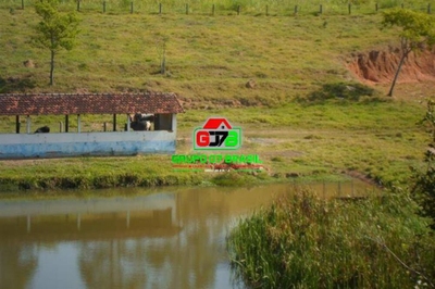Fazenda, 224 hectares - Foto 2