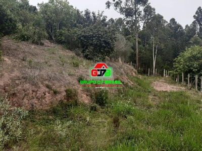 Terreno, 2 hectares - Foto 3