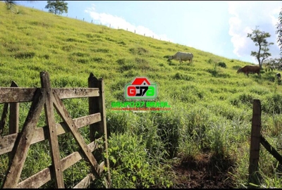 Sítio, 3 quartos, 2 hectares - Foto 1