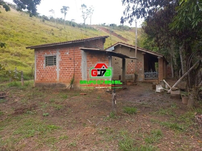 Fazenda-Sítio-Chácara, 7000 m² - Foto 3