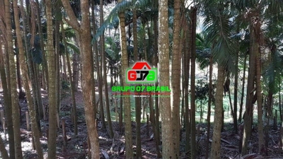 Sítio, 6 quartos, 520 m² - Foto 2