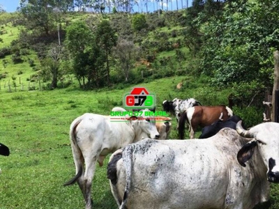 Sítio, 5 quartos, 24 hectares - Foto 1