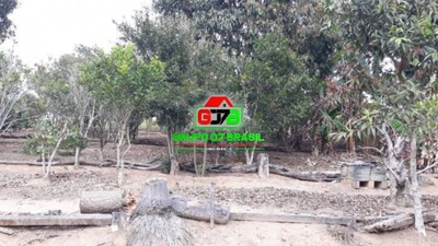 Terreno, 6200 m² - Foto 4