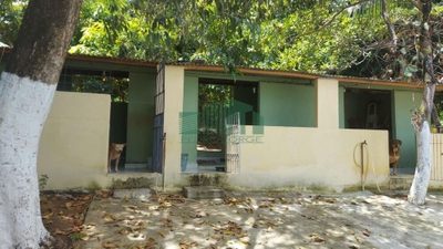 Chácara, 3 quartos, 4200 m² - Foto 4