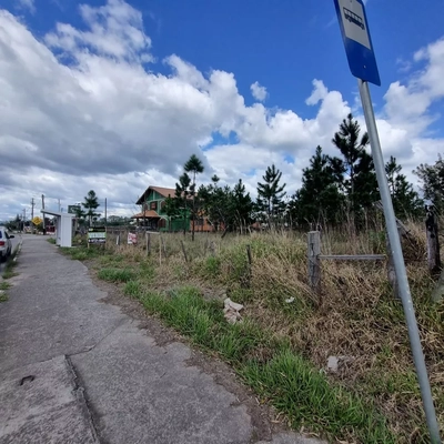 Terreno, 3100 m² - Foto 5