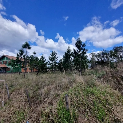 Terreno, 3100 m² - Foto 4