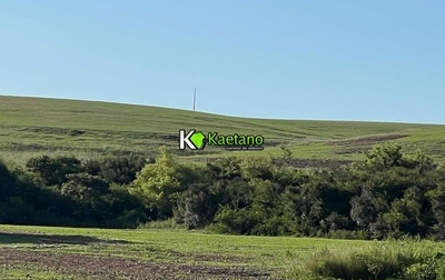 Fazenda-Sítio-Chácara, 60 hectares - Foto 1