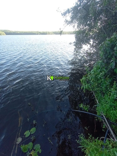 Chácara, 3 quartos, 2 hectares - Foto 3