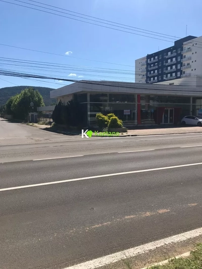 Depósito-Galpão, 3619 m² - Foto 3