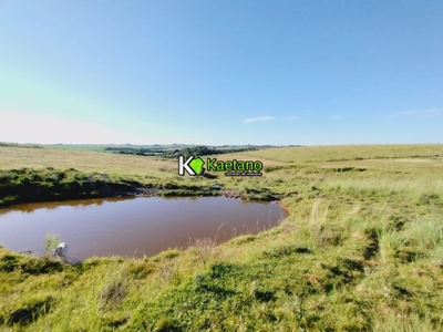 Chácara, 3 quartos, 5 hectares - Foto 3