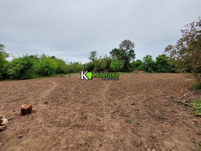 Chácara, 2 quartos, 10000 m² - Foto 3