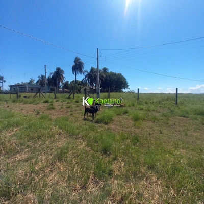 Chácara, 2 quartos, 2 hectares - Foto 4