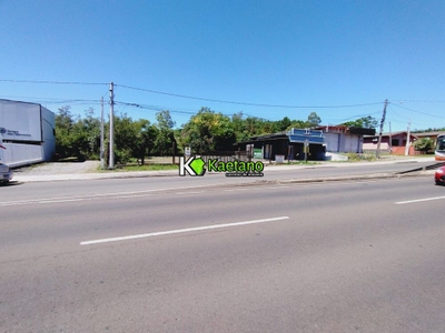 Terreno, 2900 m² - Foto 2