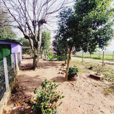 Chácara, 3 quartos, 2 hectares - Foto 1