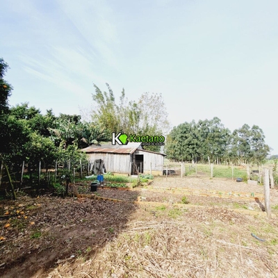 Chácara, 3 quartos, 2 hectares - Foto 3