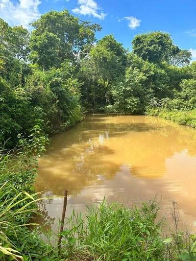 Chácara, 5 hectares - Foto 5