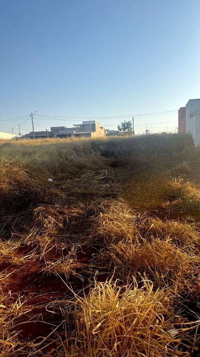 Terreno, 250 m² - Foto 1