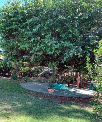 Chácara, 6 quartos, 2 m² - Foto 3