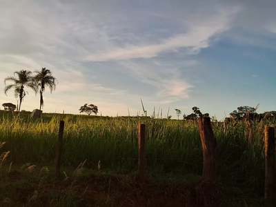 Chácara, 11 hectares - Foto 1