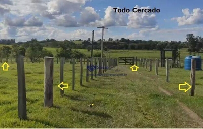 Sítio, 4 quartos, 13 hectares - Foto 2