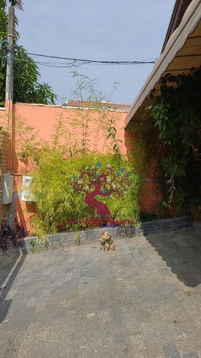 Casa, 4 quartos - Foto 4