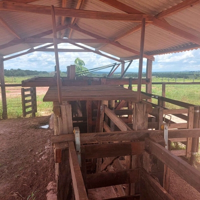 Fazenda-Sítio-Chácara, 5200 m² - Foto 4