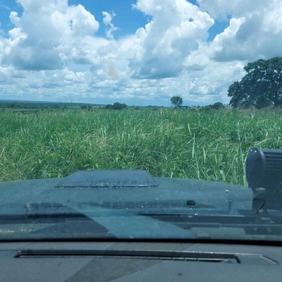 Fazenda-Sítio-Chácara, 5200 m² - Foto 1