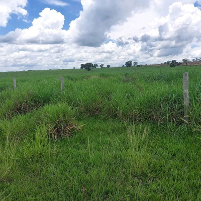 Fazenda-Sítio-Chácara, 5200 m² - Foto 2