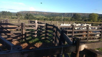 Fazenda-Sítio-Chácara, 682 m² - Foto 3