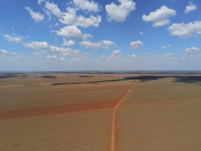 Fazenda-Sítio-Chácara, 1214 m² - Foto 2