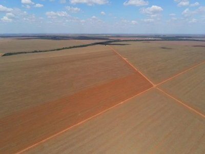 Fazenda-Sítio-Chácara, 1214 m² - Foto 1