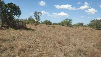 Fazenda-Sítio-Chácara, 1040 m² - Foto 5