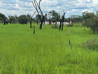 Fazenda-Sítio-Chácara, 1040 m² - Foto 3