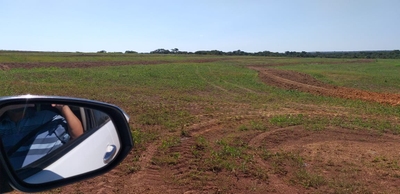 Fazenda-Sítio-Chácara, 4200 m² - Foto 5