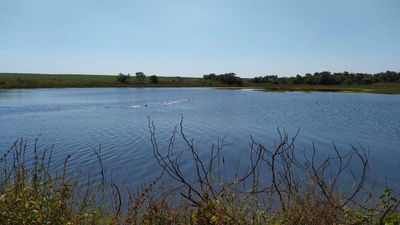 Fazenda-Sítio-Chácara, 4200 m² - Foto 4