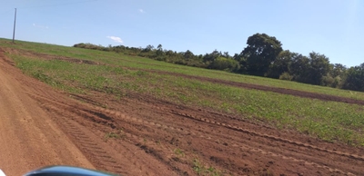 Fazenda-Sítio-Chácara, 4200 m² - Foto 3