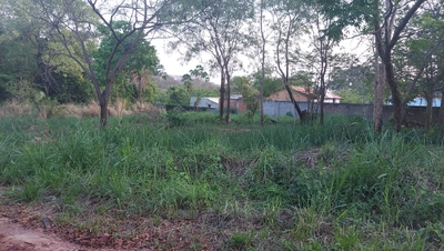 Apartamento, 900 m² - Foto 5