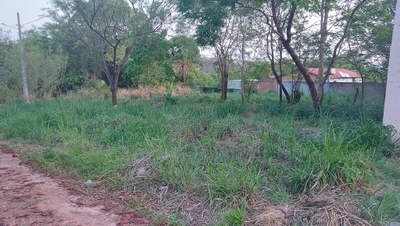 Apartamento, 900 m² - Foto 4