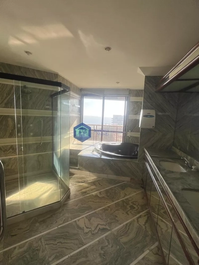 Cobertura, 4 quartos, 850 m² - Foto 3