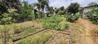 Chácara, 5 quartos, 2670 m² - Foto 3