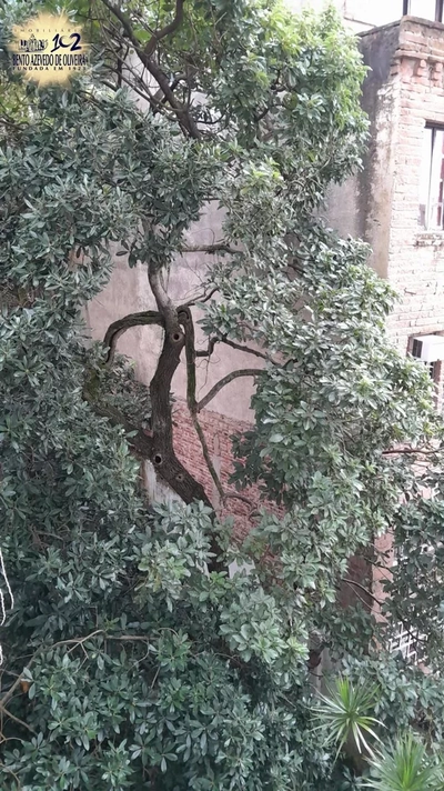 Apartamento, 1 quarto, 35 m² - Foto 5