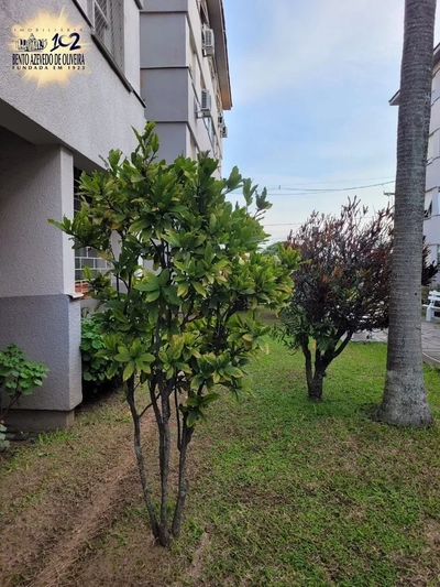 Apartamento, 2 quartos, 55 m² - Foto 2