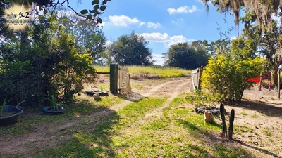 Fazenda, 28 hectares - Foto 4