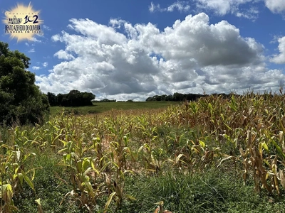 Fazenda, 433 hectares - Foto 5