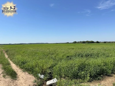 Fazenda, 433 hectares - Foto 1