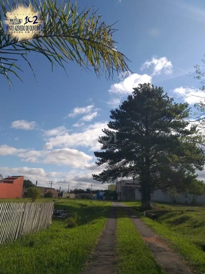 Terreno, 2 hectares - Foto 4