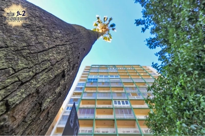 Apartamento, 4 quartos, 221 m² - Foto 5