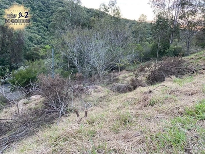 Terreno, 2313 m² - Foto 2