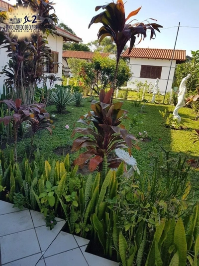 Casa, 3 quartos, 555 m² - Foto 5